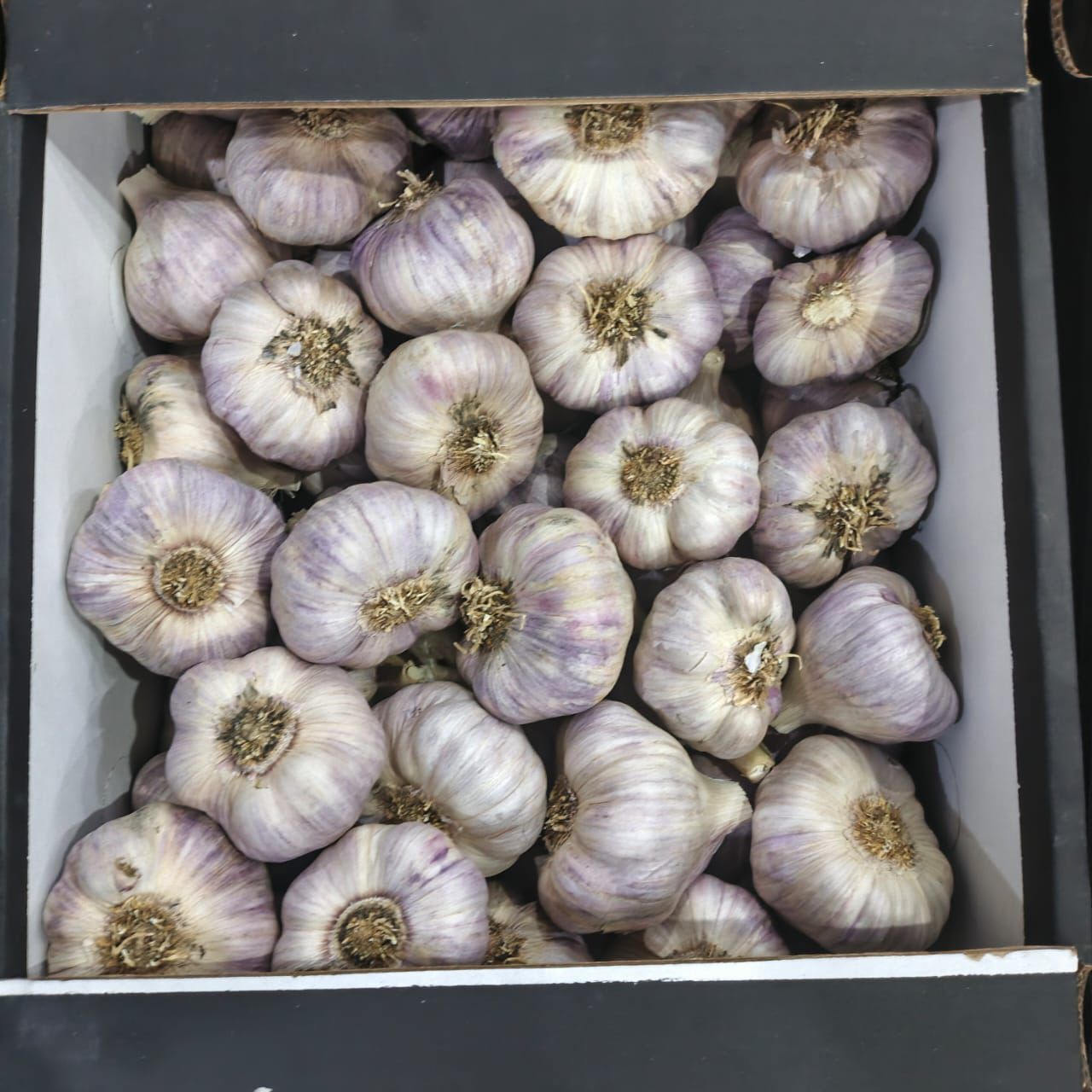 Cajas de Ajo